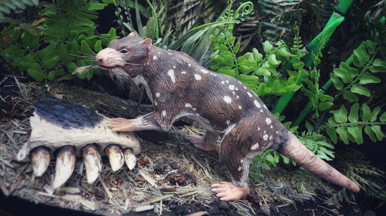 Paleontólogos argentinos hallaron restos de un pequeño mamífero de la era de los dinosaurios
