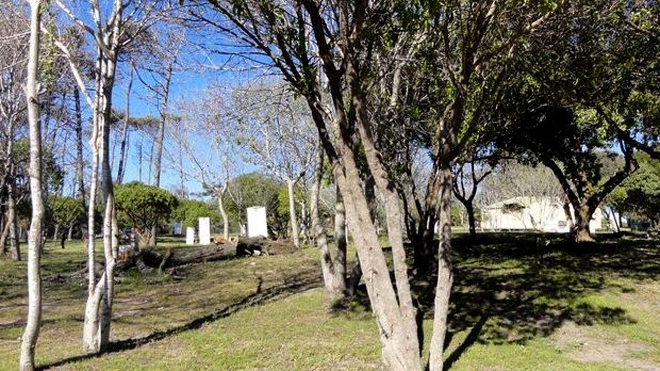 Declaró en cámara gesell la adolescente que fue violada en Miramar