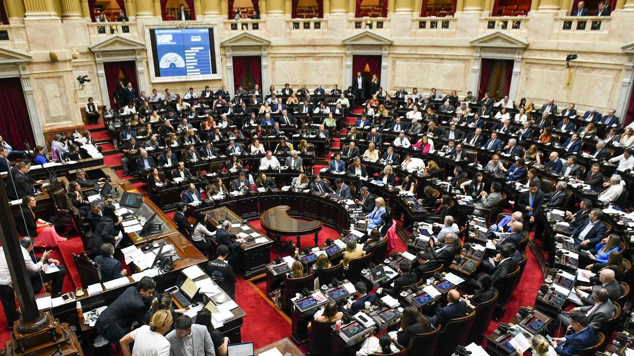 ¿Qué es la Ley Bases que aprobó el Congreso y cuáles son sus principales puntos?