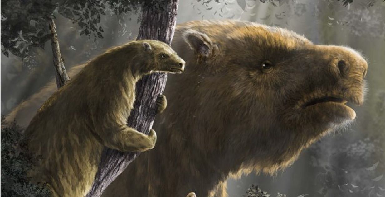 Científicos argentinos elaboraron el mapa más completo de la historia de los perezosos gigantes1