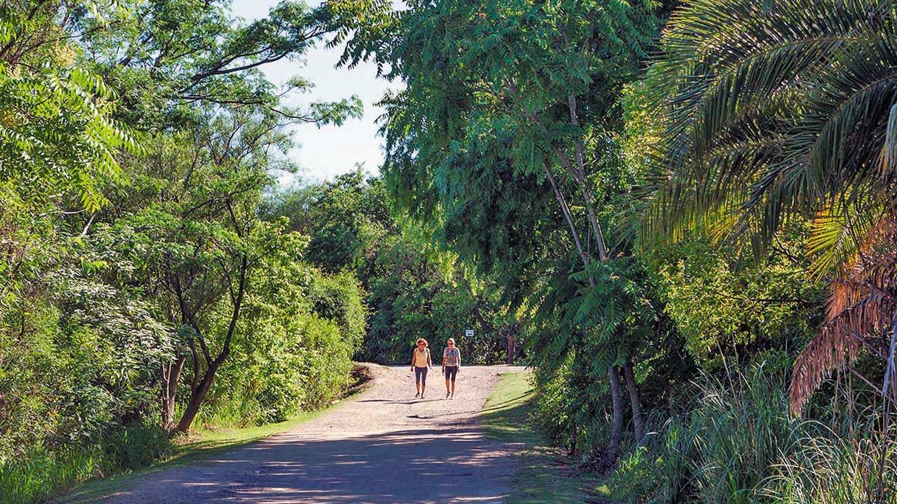 Reabrieron la reserva ecológica en la Costanera Sur y el Botánico