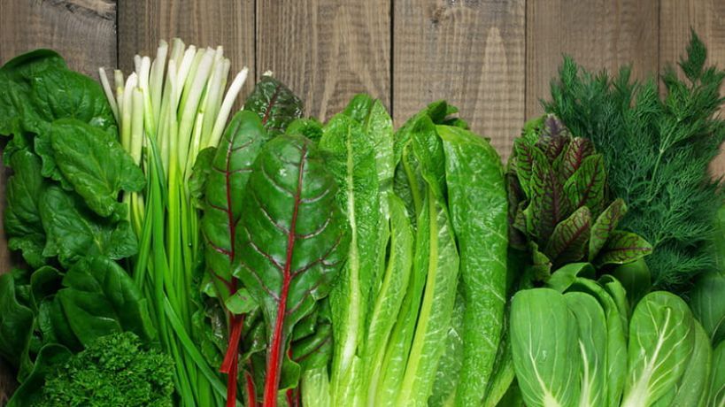 Los productores contienen los aumentos en verduras de hoja verde pese a las pérdidas por las lluvias