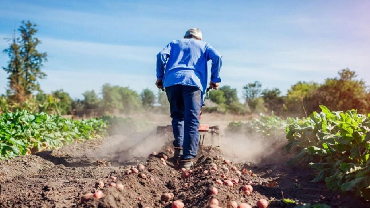 Desde el agro ven como algo promisorio la reducción de los aranceles para la importación de fertilizantes