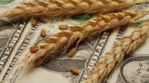 El agro quiere un dólar alrededor de $37 para aguantar la retención