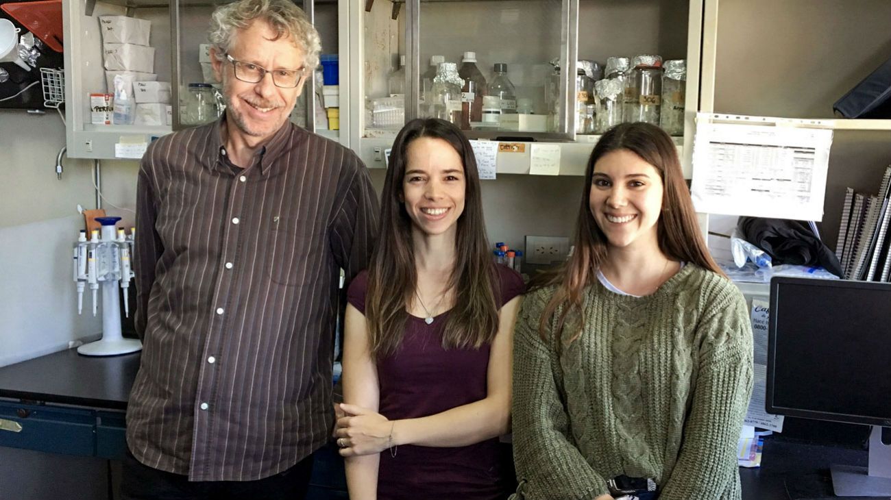 Ejercicio y estímulos cognitivos podrían retrasar el envejecimiento del cerebro