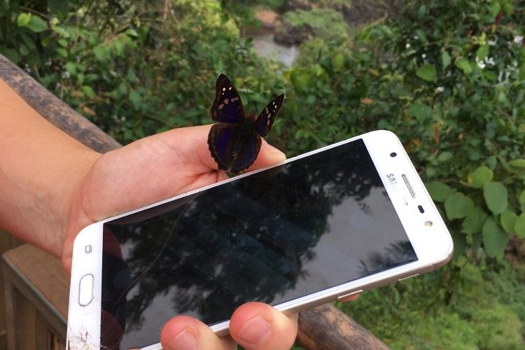 Cómo es la plataforma digital donde se puede identificar la biodiversidad