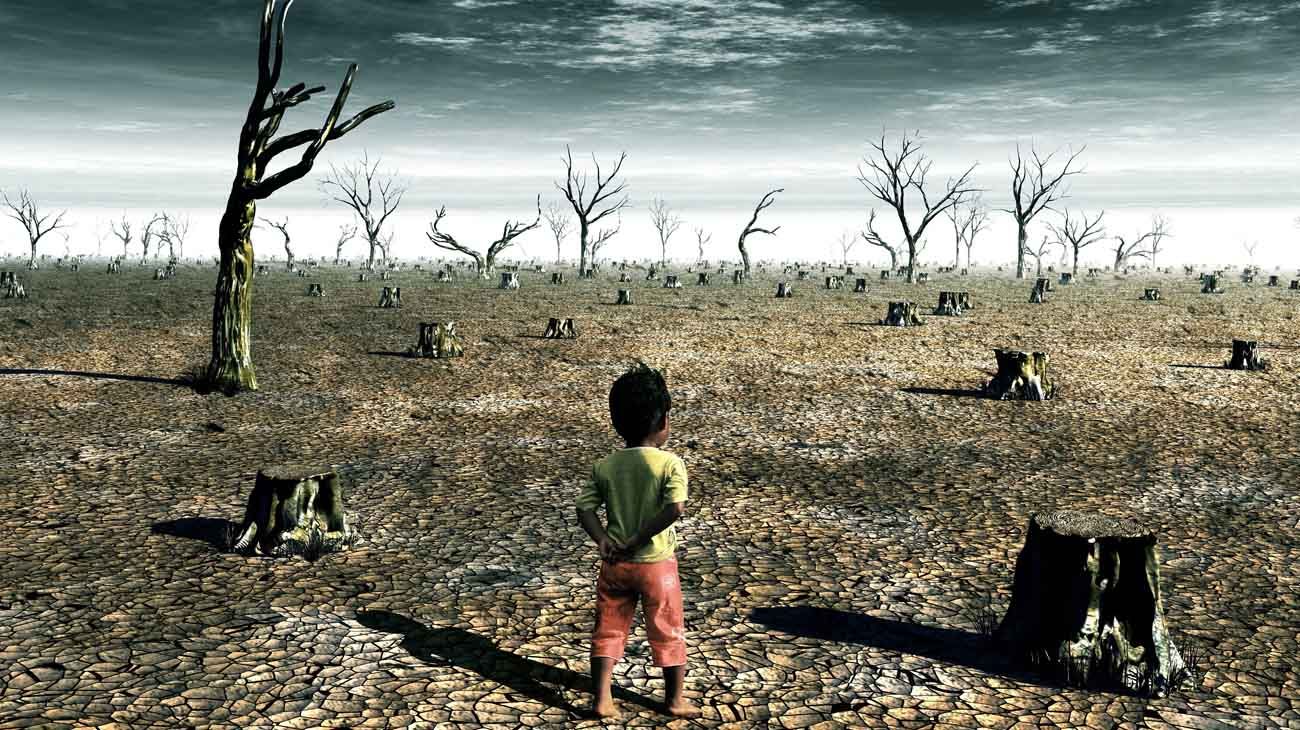 Políticas inteligentes contra el cambio climático