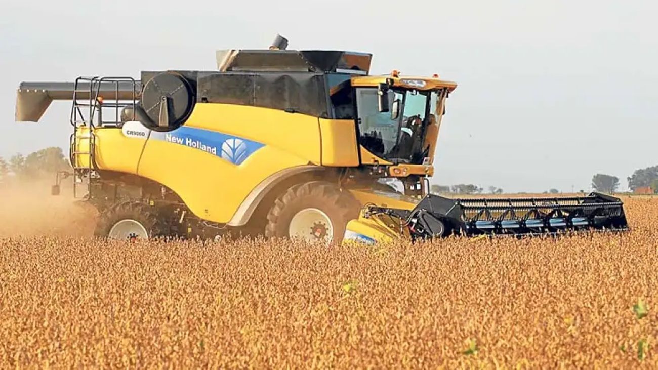 Se estima una menor exportación de harina de soja por la "alta demanda de poroto”
