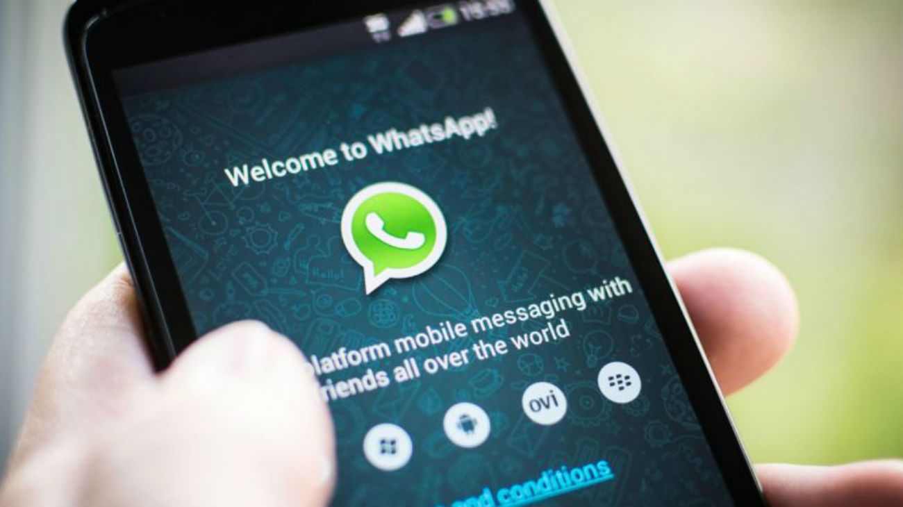 Cuáles son los celulares que no podrán usar WhatsApp desde el 2019