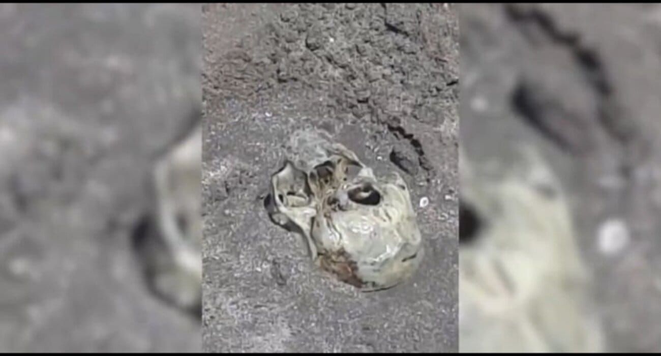 Mar del Plata: encontraron un cráneo humano en la playa e investigan el origen