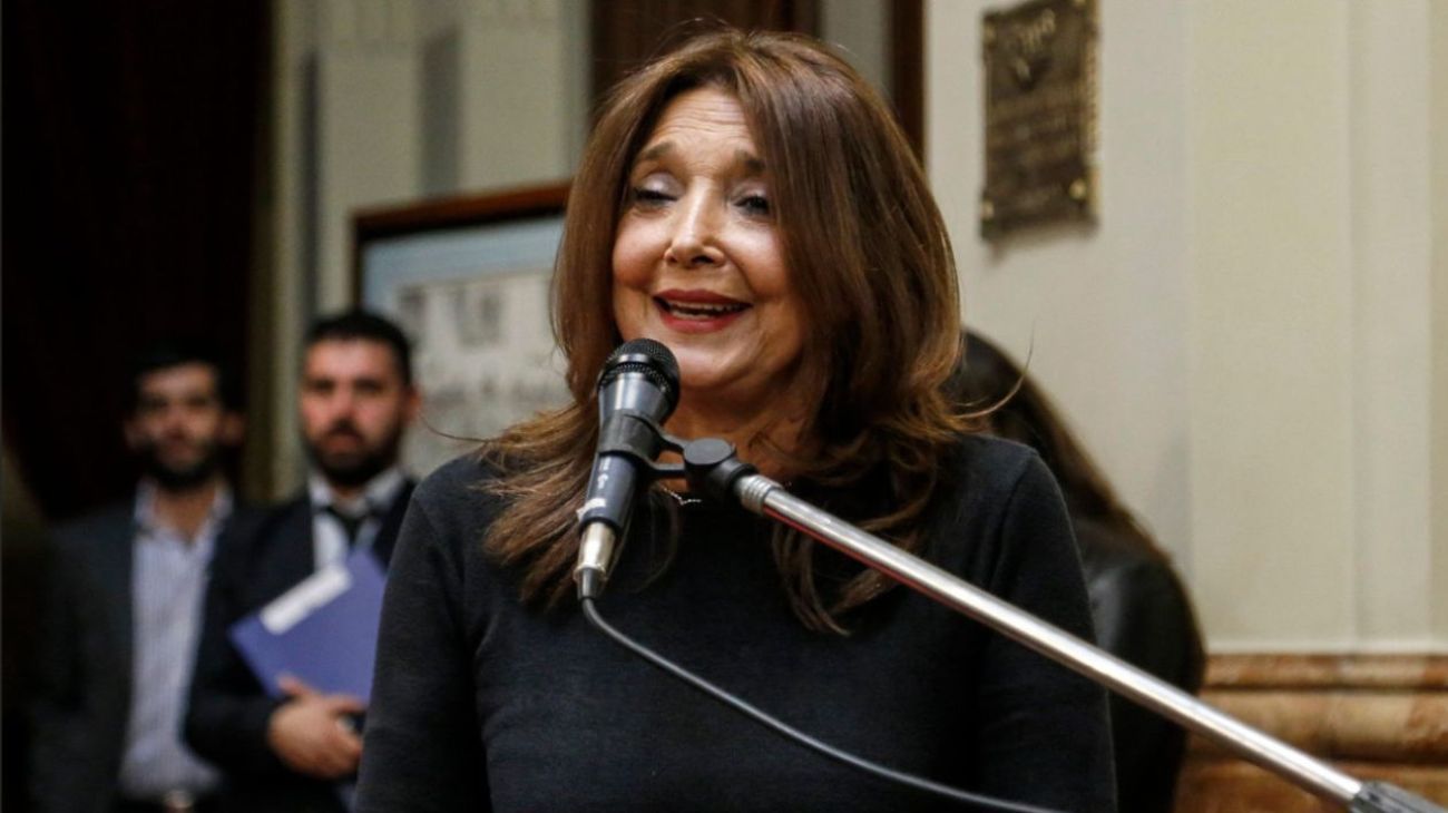 Marisa Graham: "Hay artículos en la ley que atrasan 100 años"