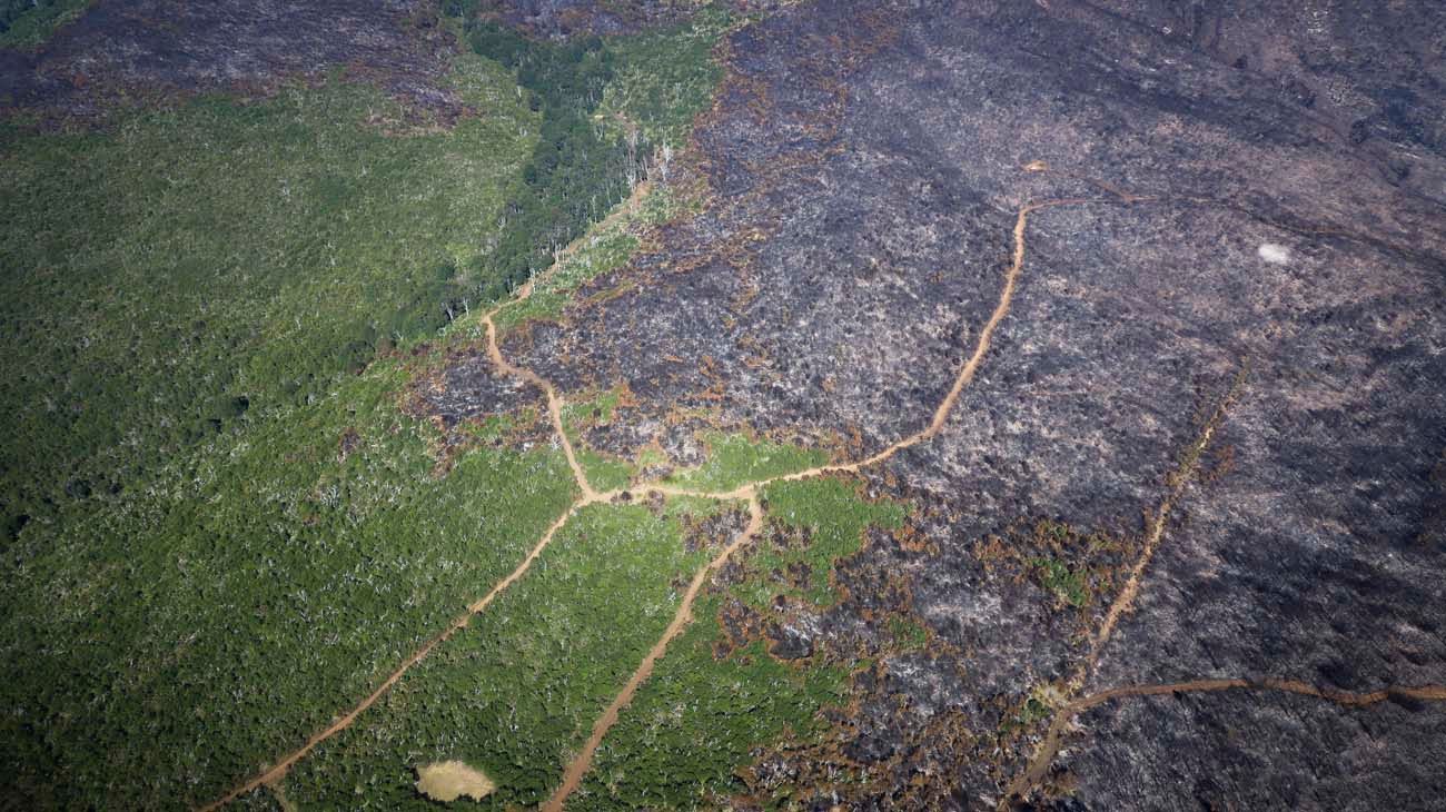 Incendios en El Bolsón: Las problemáticas más allá del fuego