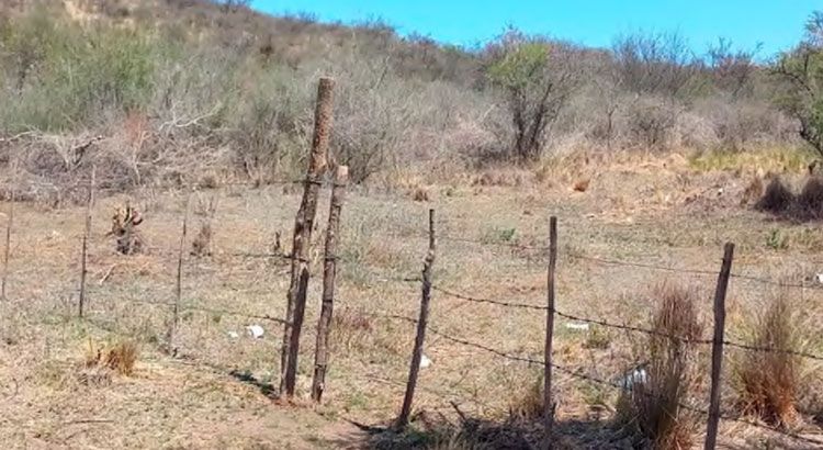 Riesgo extremo de incendios: denuncian usurpaciones en una reserva natural de Alta Gracia