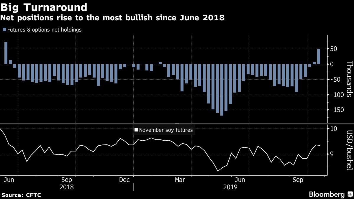 Importaciones chinas de soja de EEUU alcanzan máximo de 5 meses