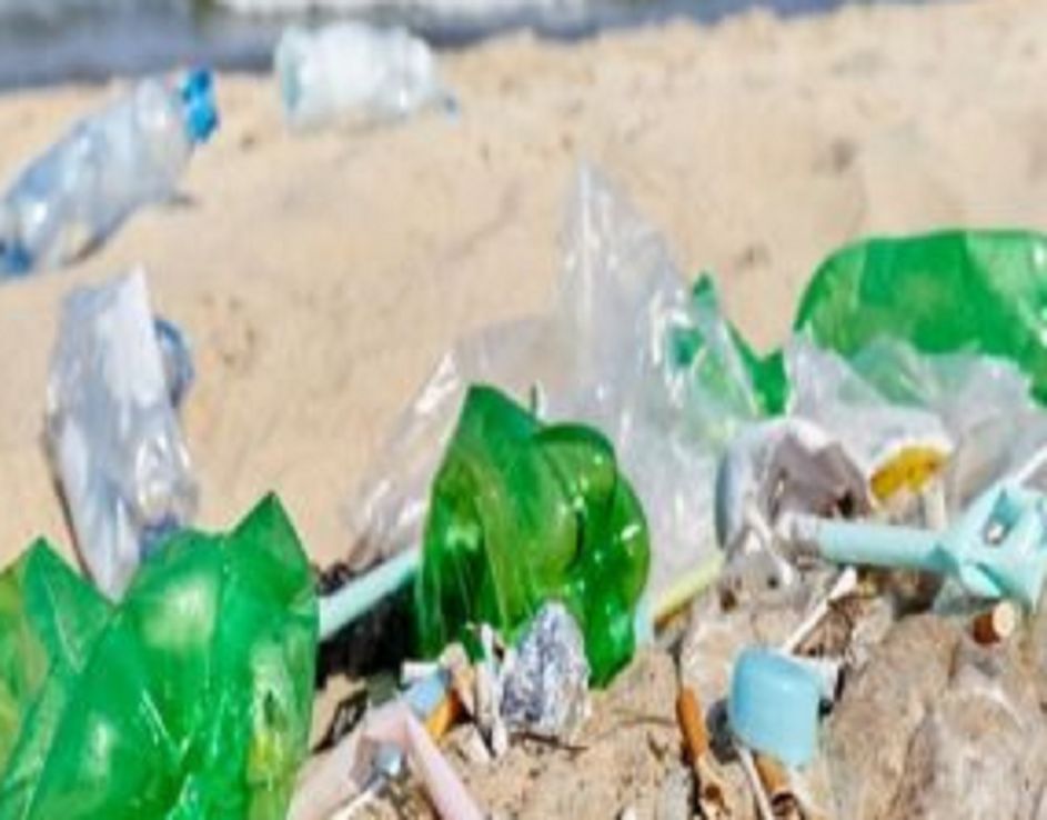 Científicos afirman que los plásticos perdidos del océano ya están dentro del cuerpo humano