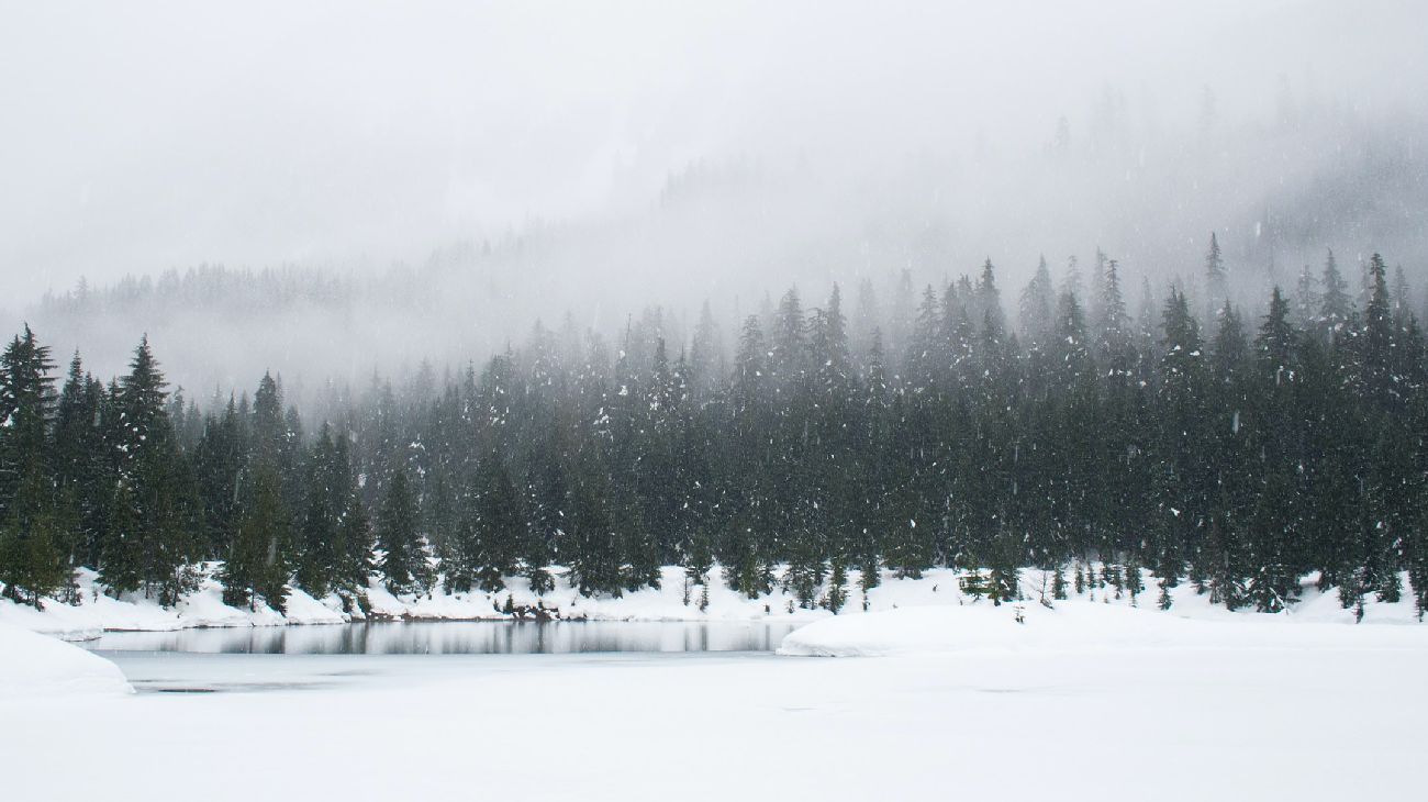 Los nombres de la nieve