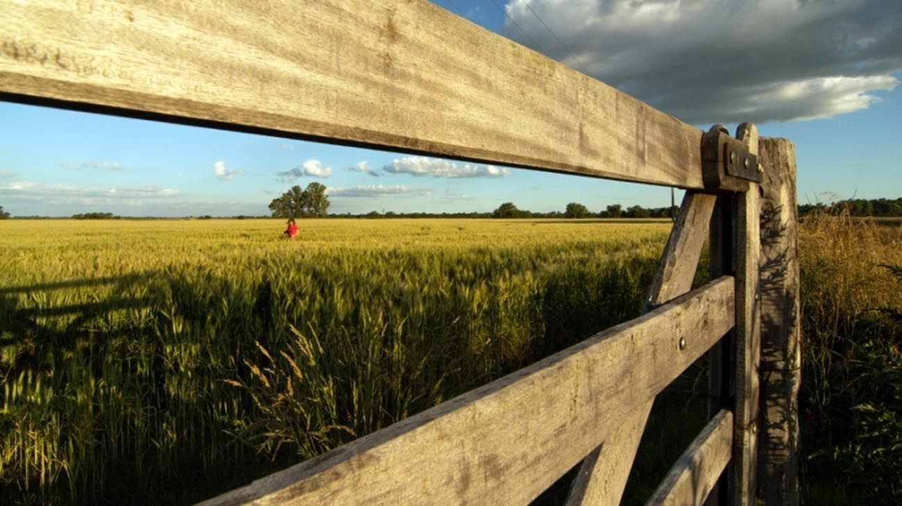 Alerta en el agro por las altas probabilidades de que se desarrolle “La Niña”