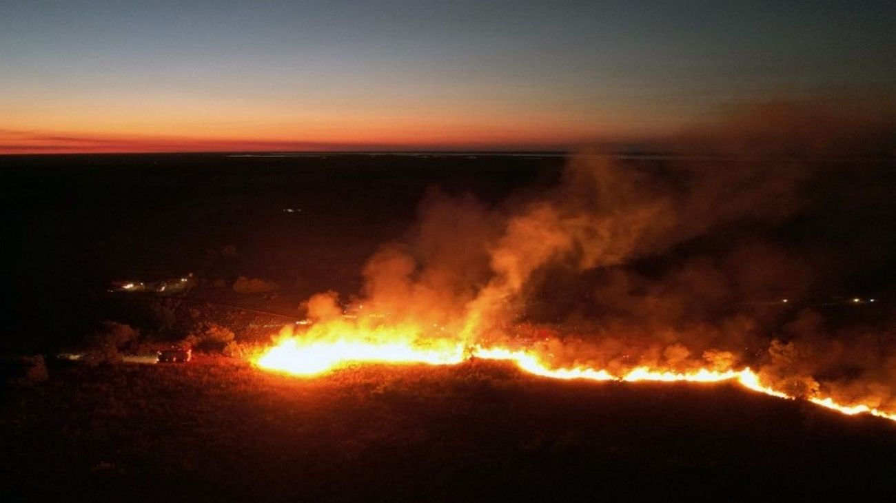 Incendios en Corrientes: ya hay 76 mil hectáreas afectadas en lo que va del año