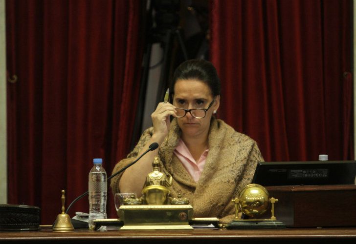 Rozas cruzó a Michetti: "Usted no es la dueña del Senado"