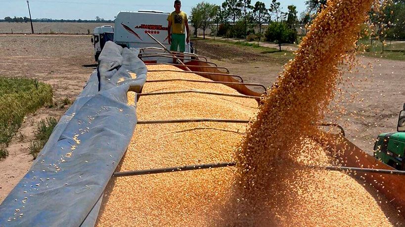 Córdoba bate récords en exportaciones: ventas por US$10.300 millones en 2024