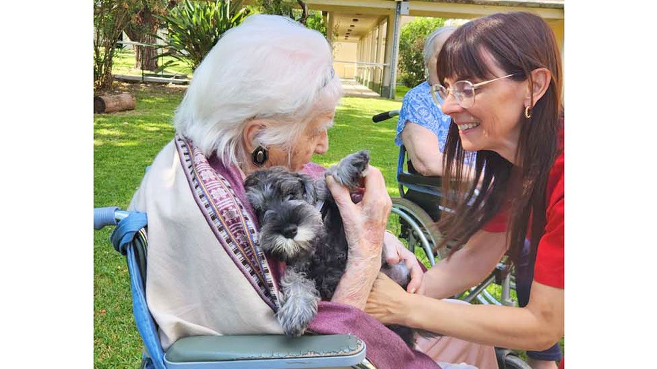 Canoterapia: utilizan perros entrenados para mejorar la calidad de vida de los adultos mayores