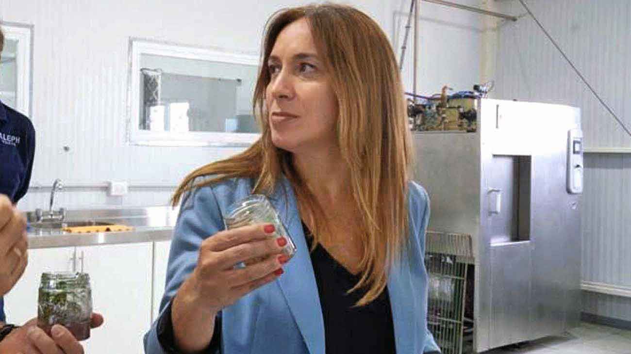 Tras su boda, Vidal tendrá más fotos con dirigentes