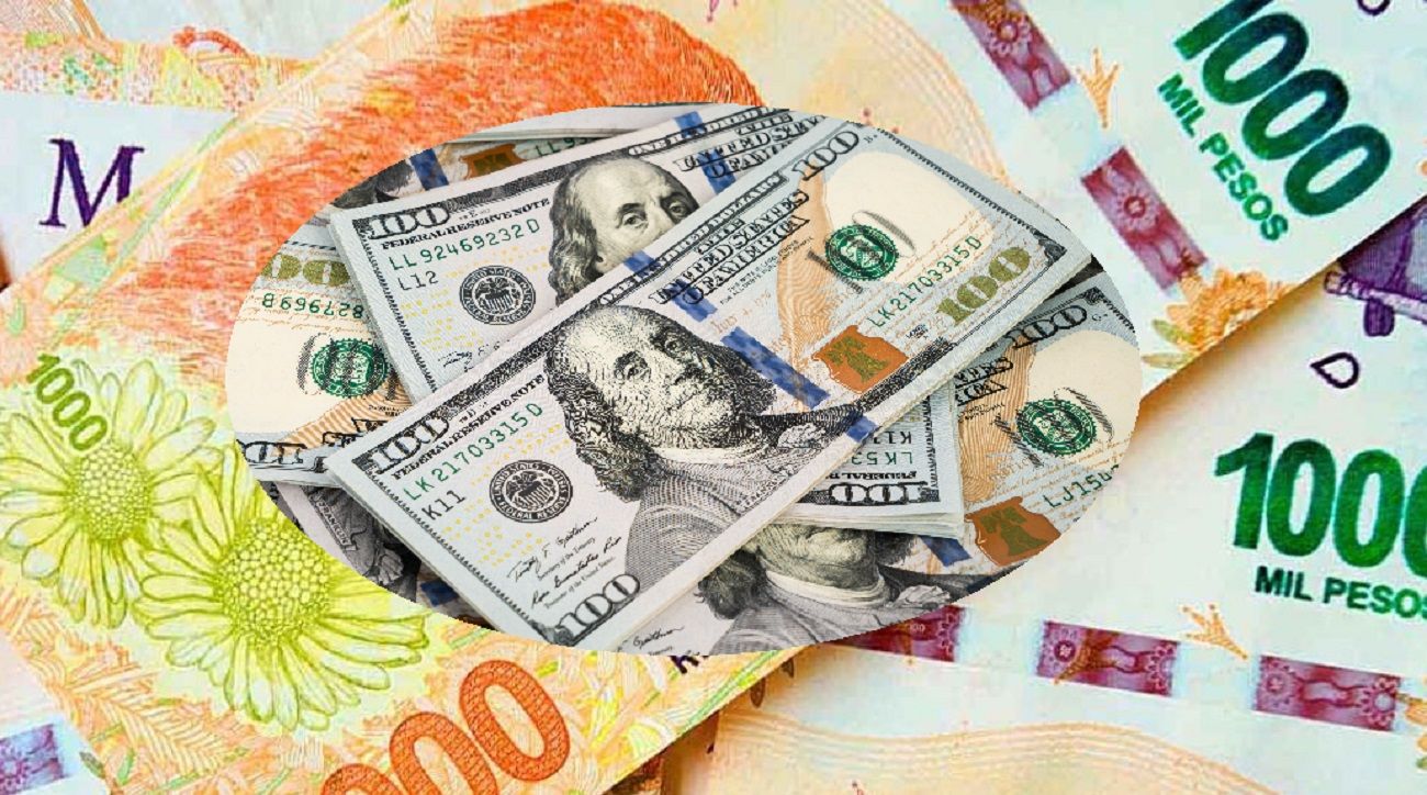 Dolarización: cuáles son los pros y las contras de esta política monetaria