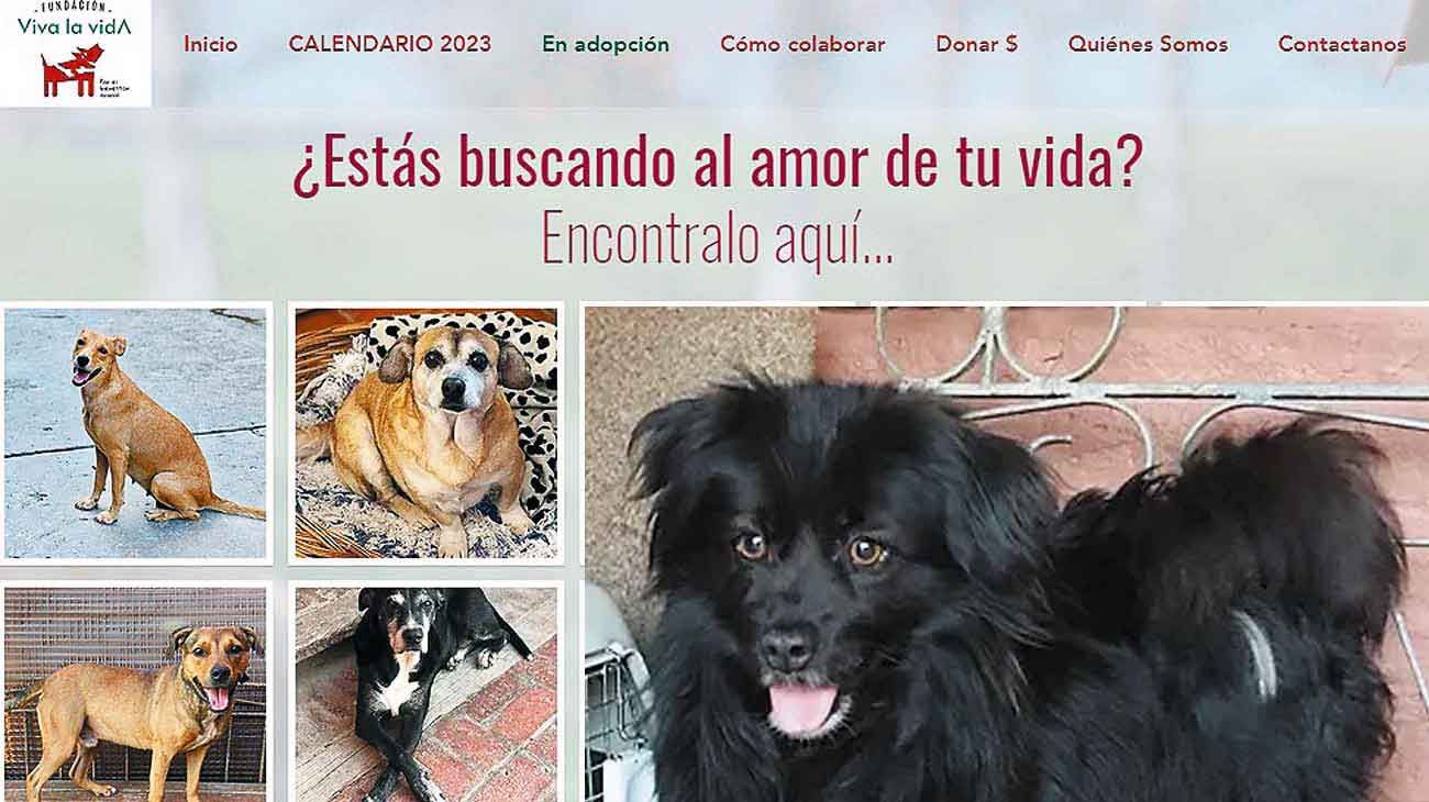 El misterio del síndrome del perro negro