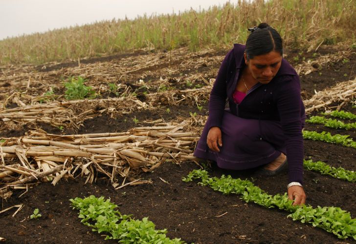 Con igualdad de acceso a la tierra, las mujeres rurales podrían aumentar la producción de alimentos