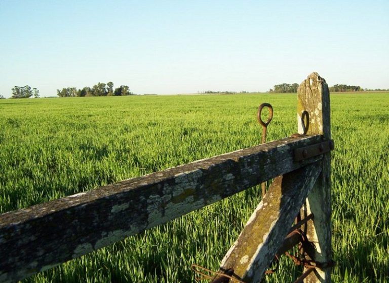 El mercado inmobiliario rural cayó por tercer mes consecutivo