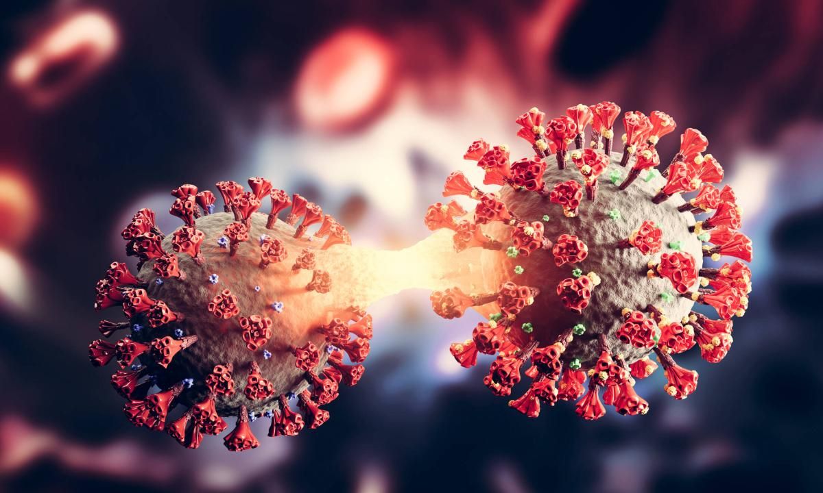 "Fornax": qué se sabe de esta sub variante de coronavirus que alerta a los científicos