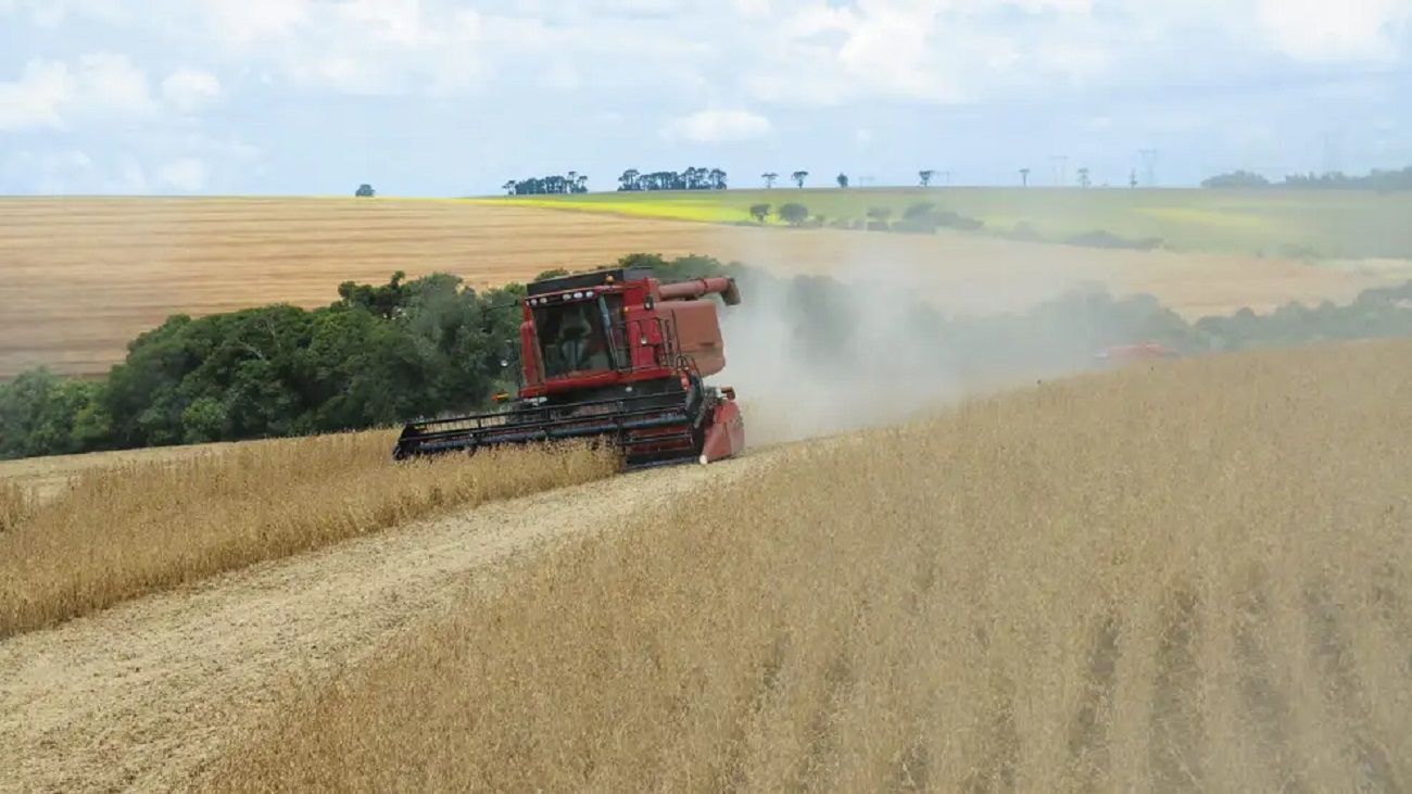 Caída de la confianza en el agro: “Hay un sentimiento de pesimismo, las decisiones de inversión cayeron”