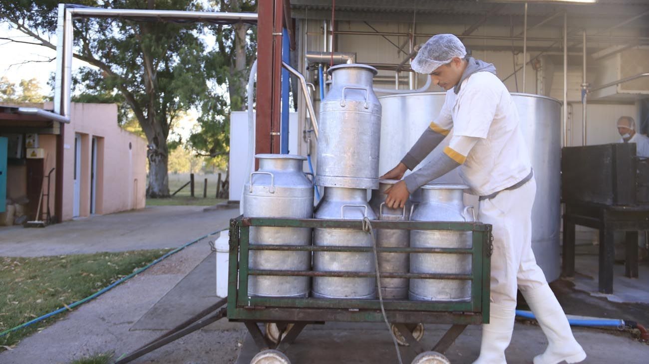 En Brasil quieren castigar al sector de lácteos que exporta la Argentina