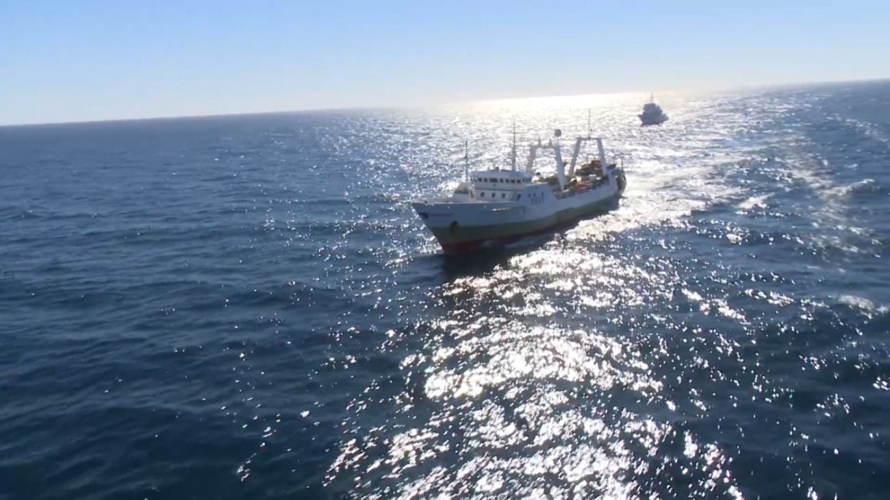 Una flota fantasma depreda el Mar Argentino