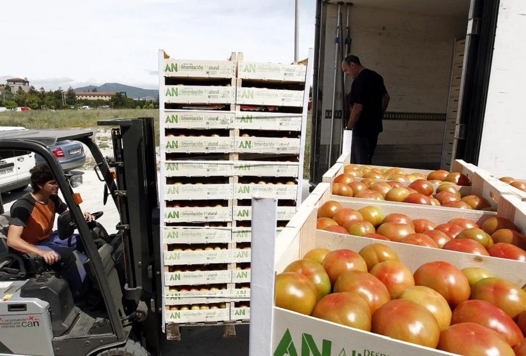 Desregulación del mercado de alimentos: “Es una situación incómoda para quienes producen en el mercado interno”