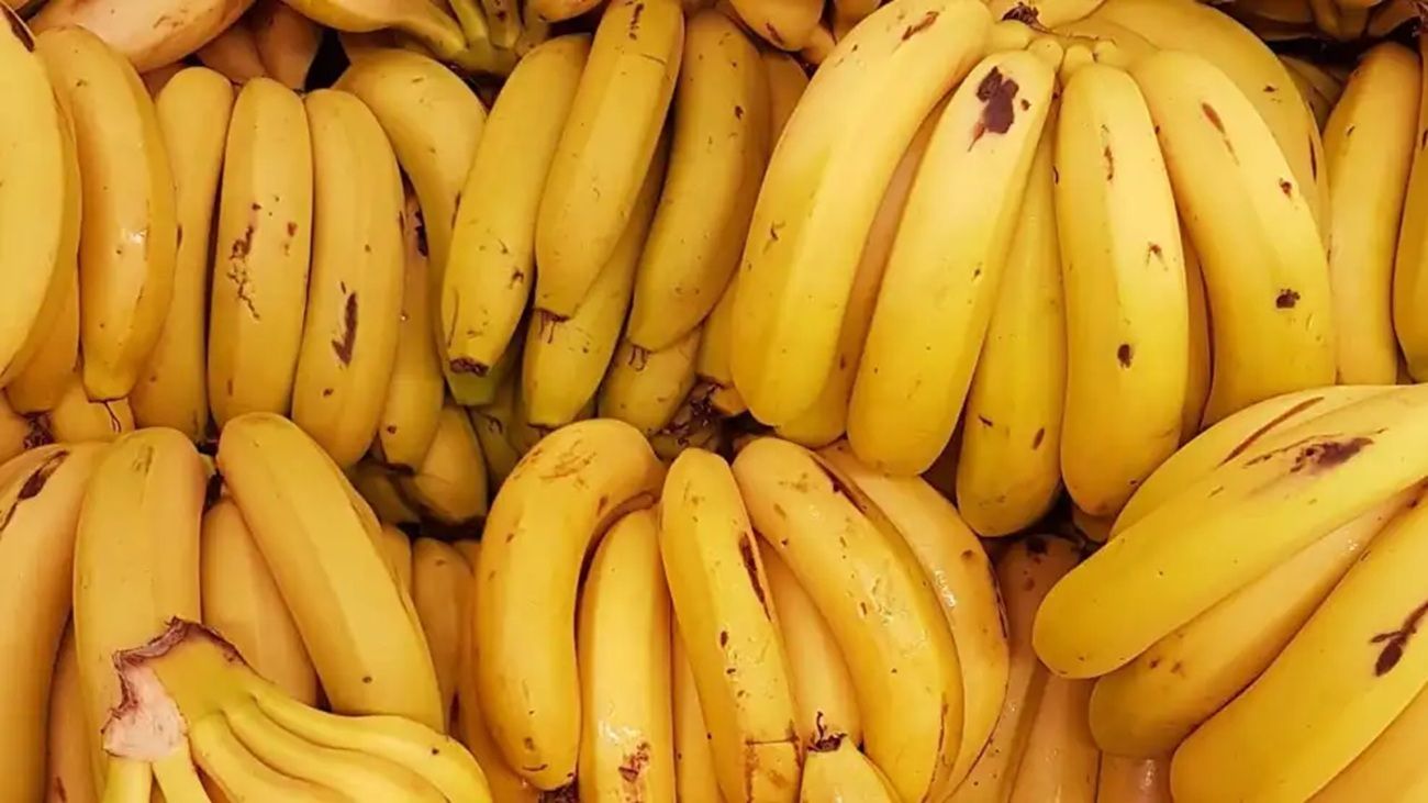 Situación crítica para la producción bananera de Formosa ante el aumento de las importaciones y el contrabando