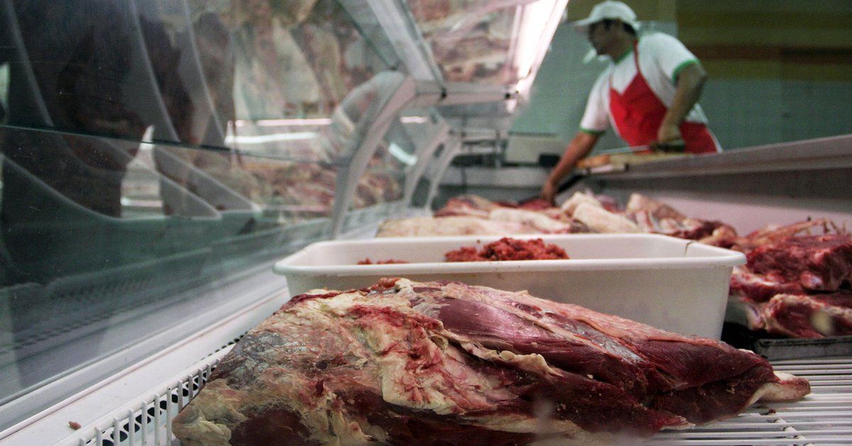 Cómo es el plan agroindustrial de Córdoba para impulsar la producción y consumo de carne de cerdo