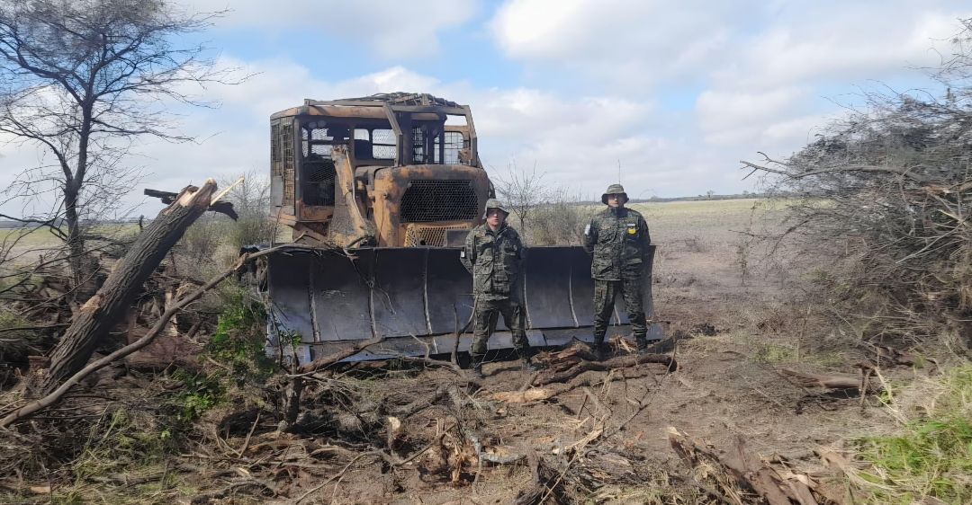 Chaco: secuestran topadora y cargamento ilegal de quebracho colorado en operativos forestales