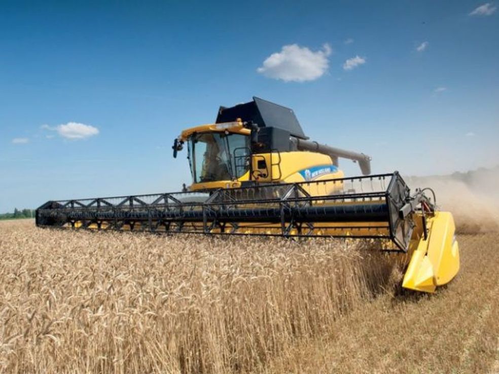 El precio mundial de los cereales se estabiliza y aleja el riesgo de "huracanes de hambrunas"