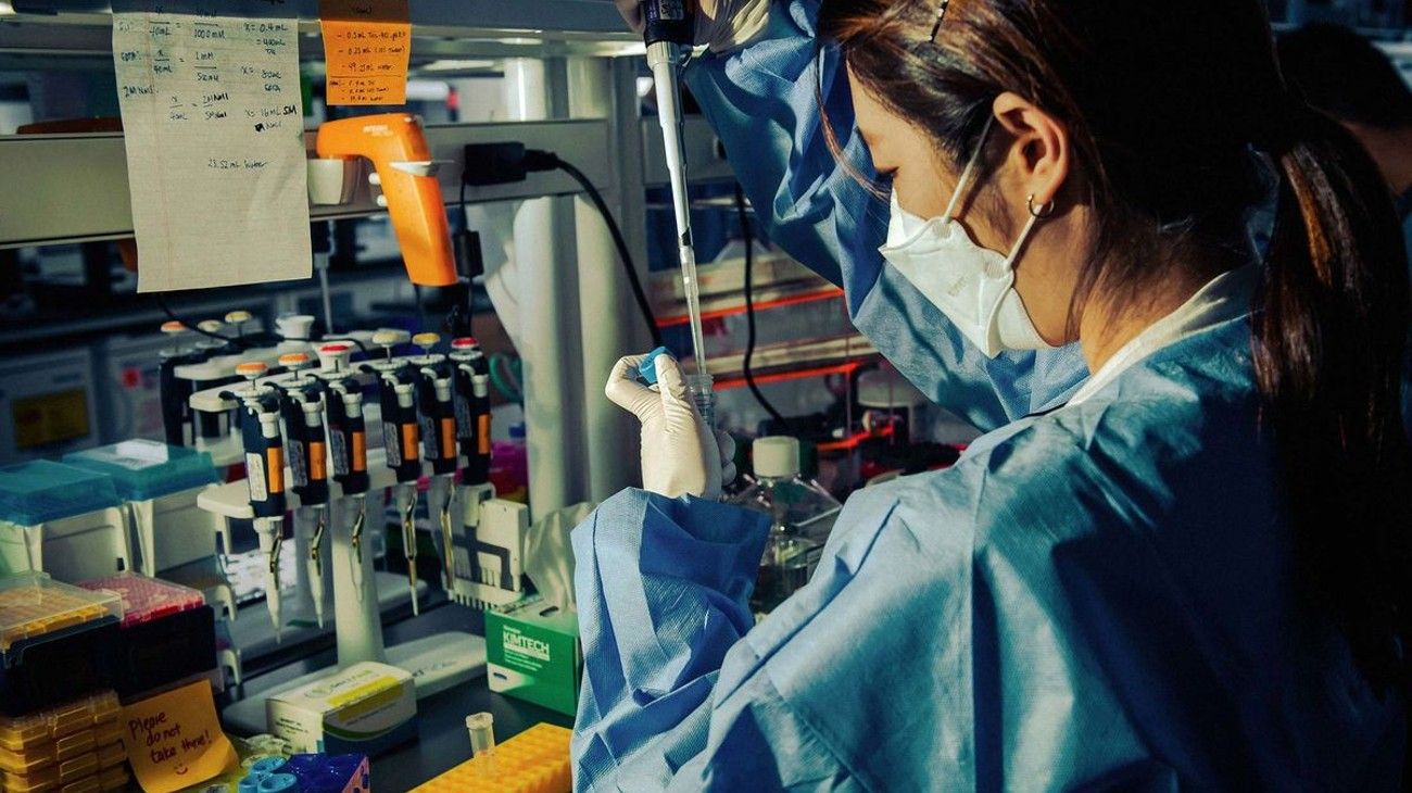 La OMS minimizó la amenaza de la variante de Covid detectada en Francia