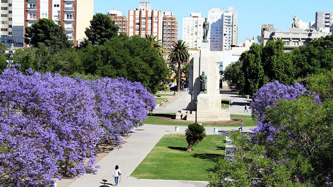 La Ciudad de Buenos Aires deberá plantar 100 mil árboles anuales por ley