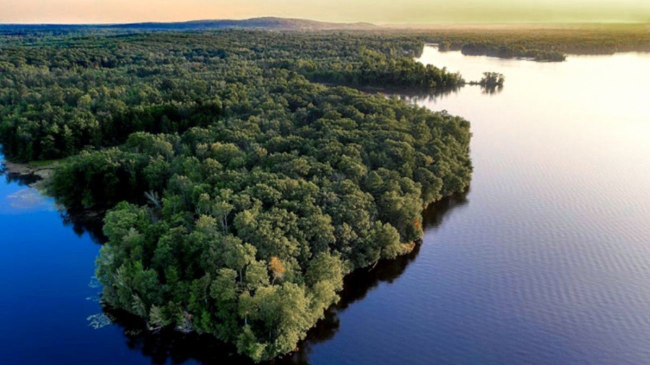 Alemania aportará US$ 217 millones para la preservación de la Amazonia