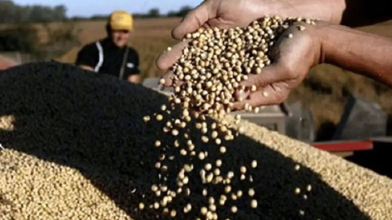 Las exigencias de la UE en comercio de soja y deforestación deben transformarse en oportunidad