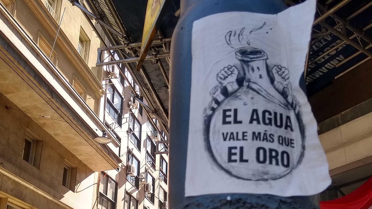 Flor de dilema el de Chubut