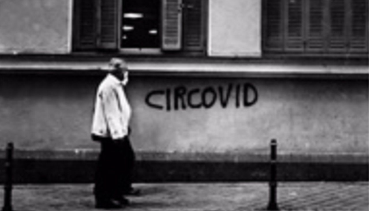 Diario de la peste | Circovid