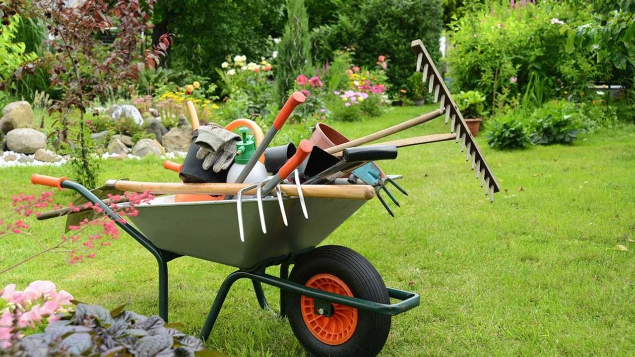 Prepará tu jardín para el otoño: estas son las herramientas que no puede faltarte