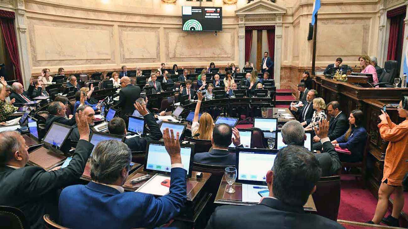 El Senado revisará los números de los subsidios y cierra la polémica con los jueces
