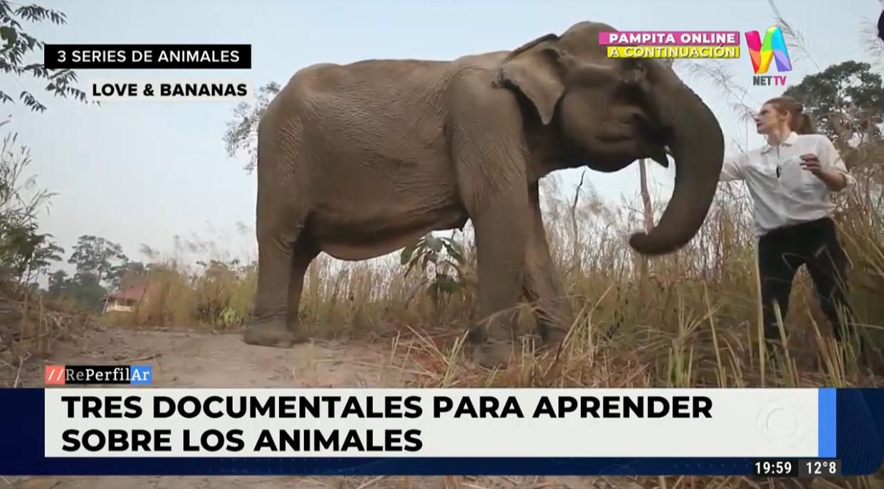 Tres documentales para aprender sobre los animales