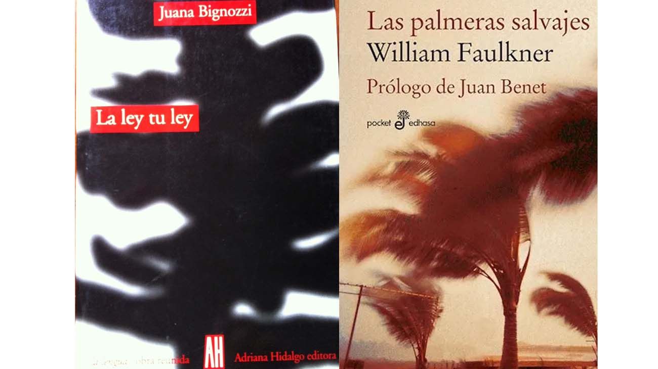 Mi ley, tu ley
