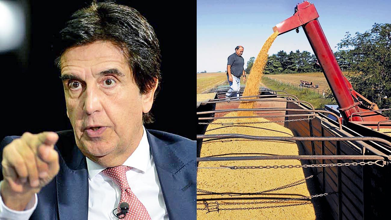 Para Melconian, la 'santa soja' evitó una crisis mayor